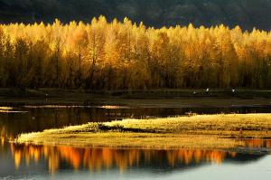 Lhasa River